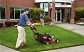 lawn mowing in golden valley